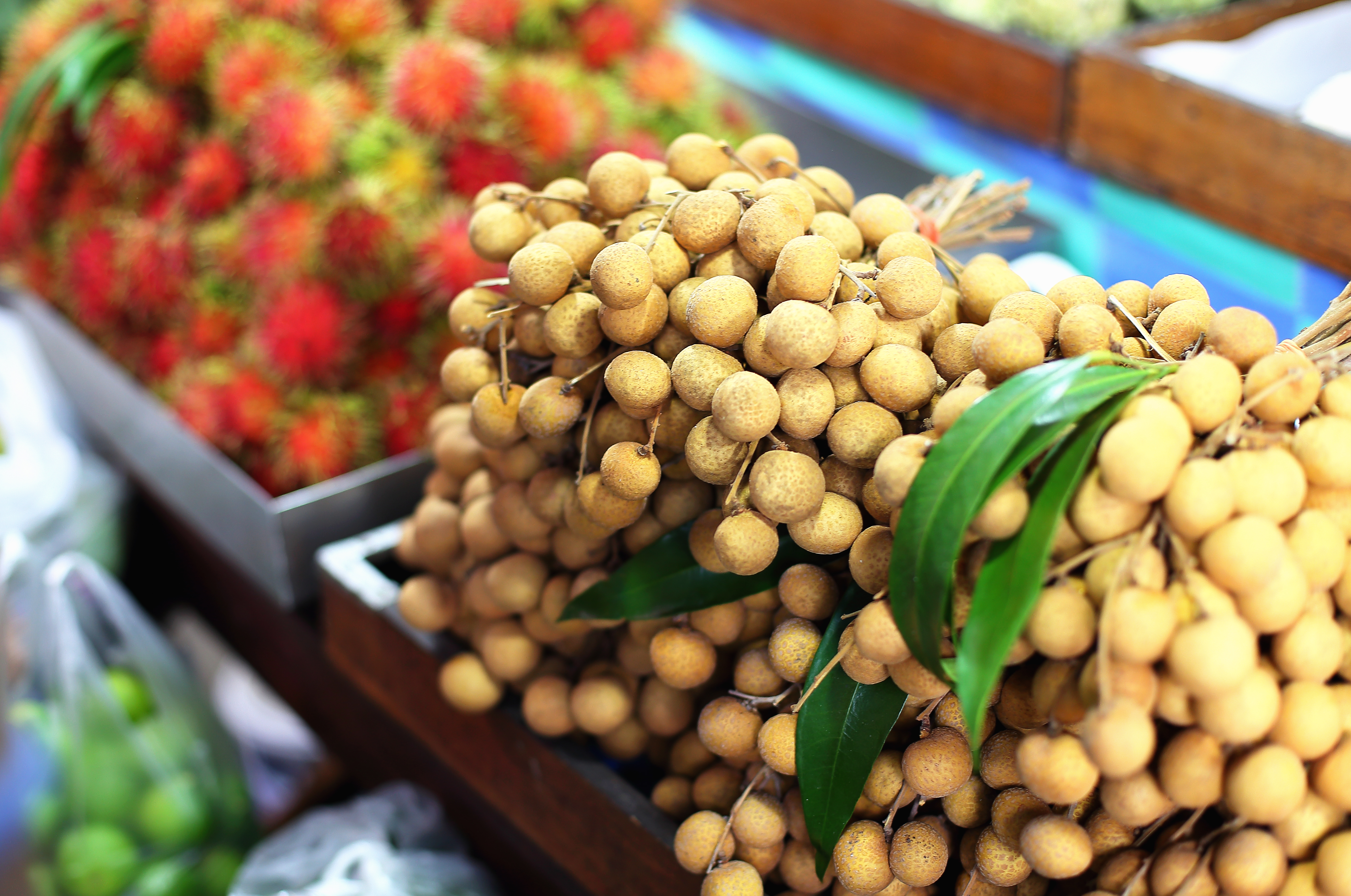 Thailand’s Sweet Spot in Global Canned Fruit Exports